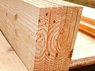 Tábua Pinus Tábua Pinus