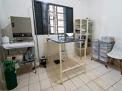 cirurgia cirurgia