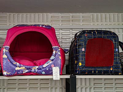 caminha caminha para pets