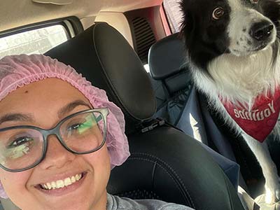 levamos e buscamos os seu pet táxi dog