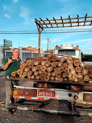 Caminhão para transporte de madeiras Caminhão para transporte de madeiras
