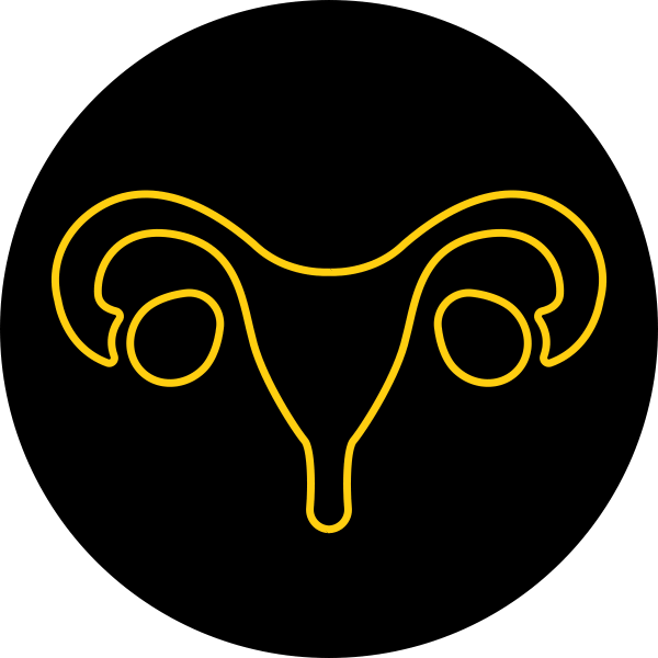 endometriose endometriose