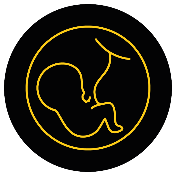 obstetrícia obstetrícia