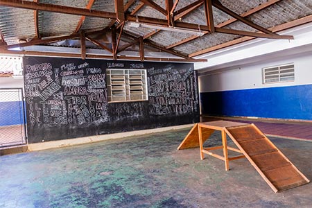 Creche para pets creche para pets