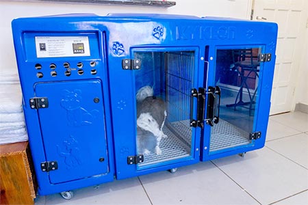 Quarto climatizado para pets quarto climatizado para pets