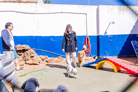 Hotel para pets hotel para pets