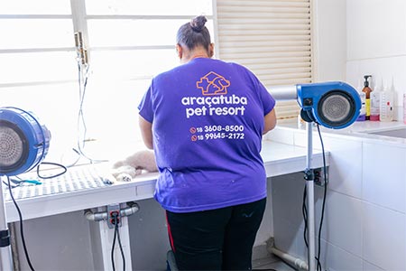 Serviço de banho e tosa em cães serviço de banho e tosa