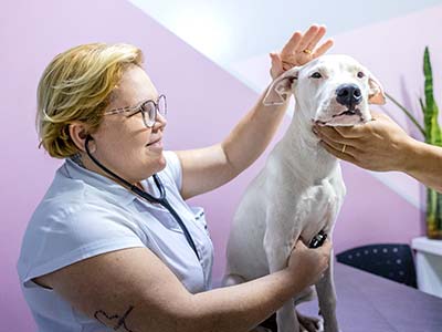 Radiografia veterinária