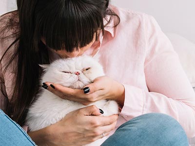Planos preventivos para pets Jovem com gato