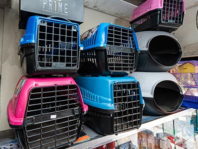 Caixas de transporte para animais de pequeno porte Caixas de transporte