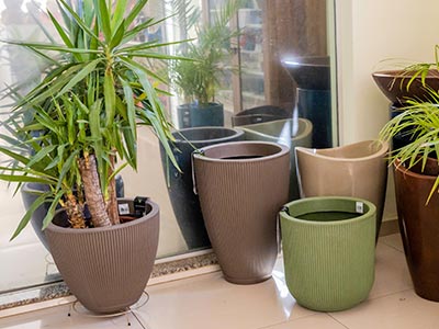 Vasos com plantas Vasos com plantas