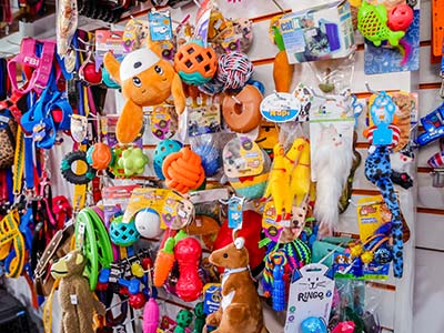 Brinquedos e acessórios Acessórios para pets