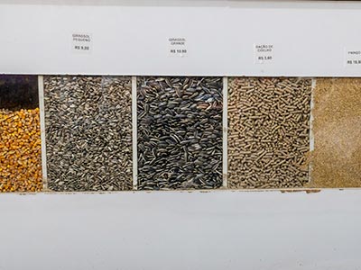 Sementes para aves e roedores Sementes para aves e roedores