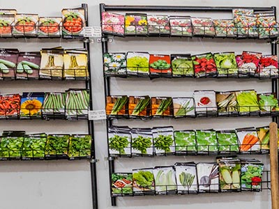 Sementes para hortas Sementes para hortas