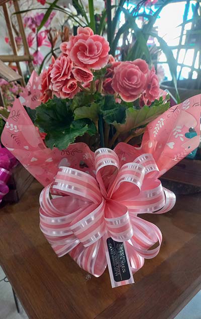Vaso com rosas vaso com rosas
