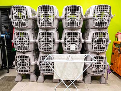 Baias individuais para os cães Baias individuais para os cães