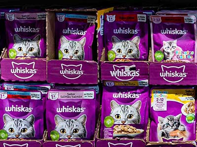 sachês para gatos sachês para gatos