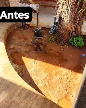 jardim antes jardim antes