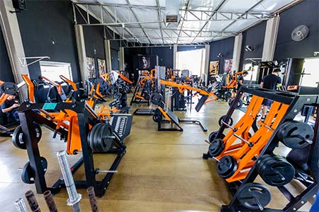 Grande variedade de equipamentos Equipamentos de musculação