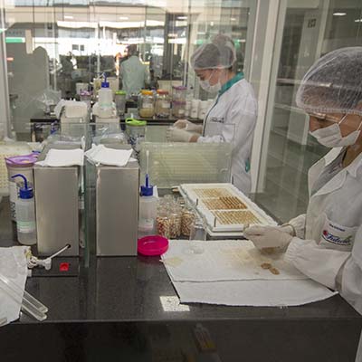 Equipe composta por farmacêuticos especializados Equipe Farmácia Futura