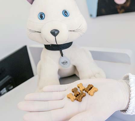 manipulação veterinária manipulação veterinária