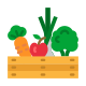 horta horta