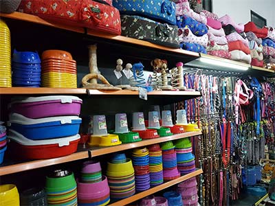 Comedouros, bebedouros e caminhas Acessórios para pets
