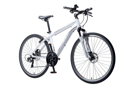 Bicicleta bicicleta
