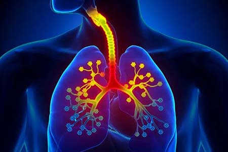 Tratamento para doenças respiratórias tratamento para doenças respiratórias