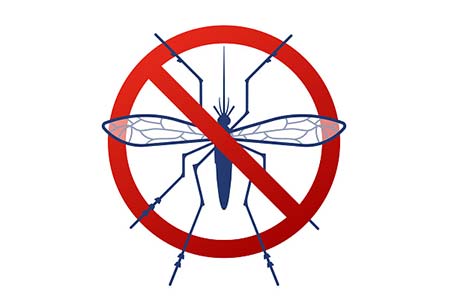 Proteja sua casa contra os mosquitos proteção contra mosquitos