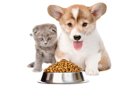 Produtos para pets produtos para pets