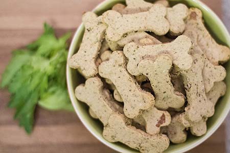 Alimentos de origem natural para cães e gatos alimentos de origem natural para cães e gatos