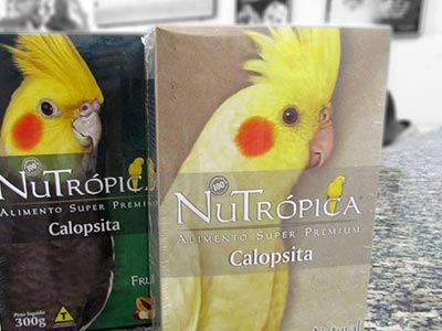 Alimento para aves Alimento para aves