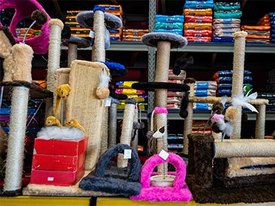 Acessórios para gatos Acessórios para gatos