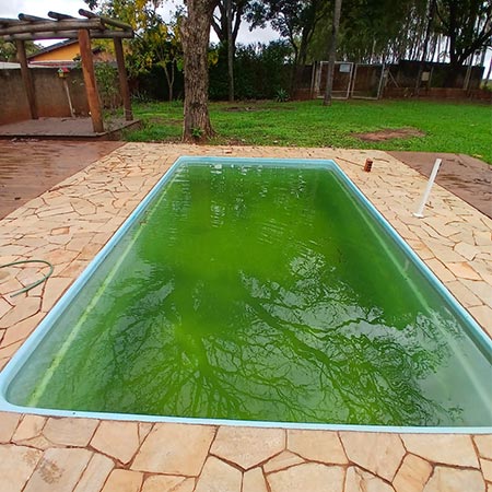 Piscina com água verde piscina com água verde