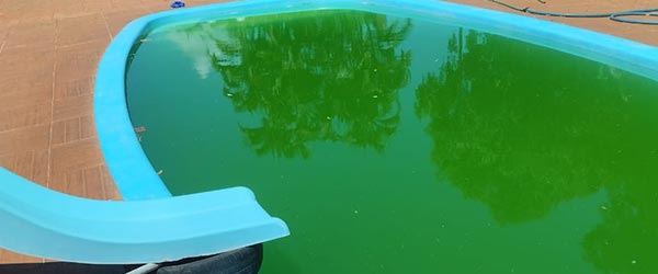 Piscina com água lsuja piscina com água suja