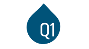 Q1 q1