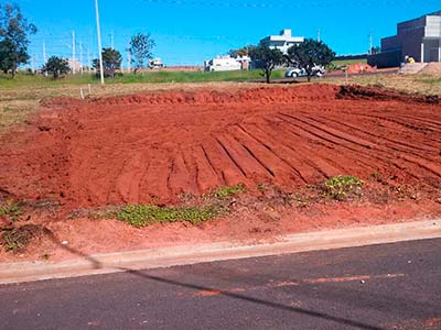 Limpeza de terreno
