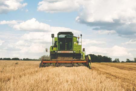 Seguros para o agronegócio seguro agro