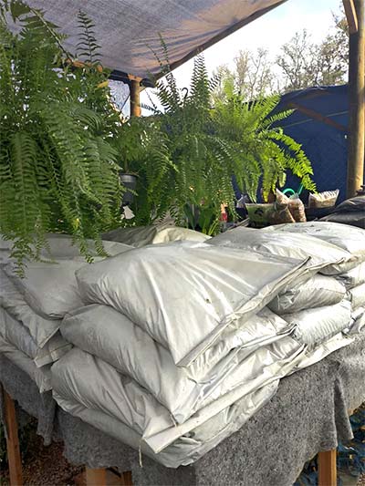 Produtos e acessórios para jardinagem adubo
