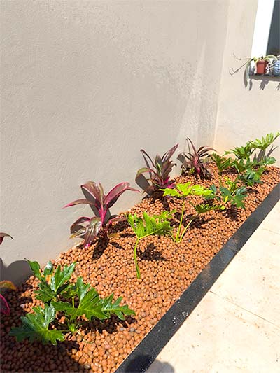 Cuidados e manutenção de jardim cuidados e manutenção de jardim