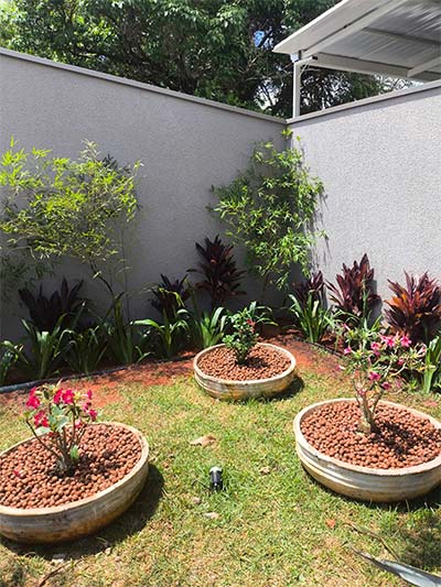 Manutenção de jardim em residência manutenção de jardim em residências