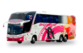 Ônibus executivo Novembro Azul Ônibus executivo Outubro Rosa