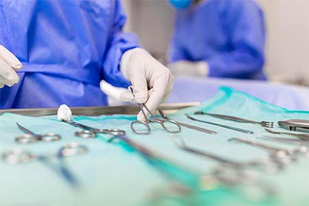 cirurgia veterinária