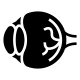 Angiofluoresceinografia Ocular