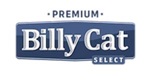 Billy Cat Billy Cat