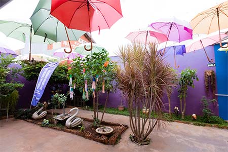 jardim