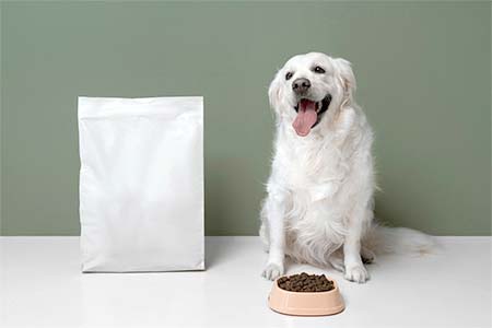 produtos para cães e gatos produtos para cães e gatos