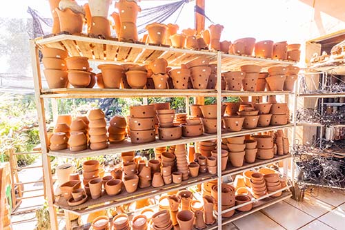 Venda e aluguel de vasos venda e aluguel de vasos