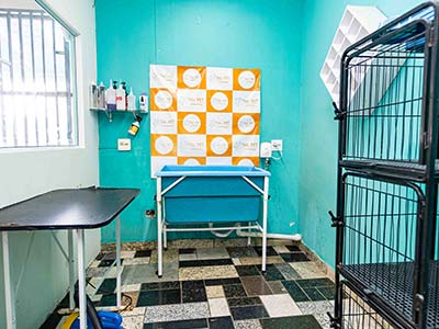 Espaço do banho e tosa